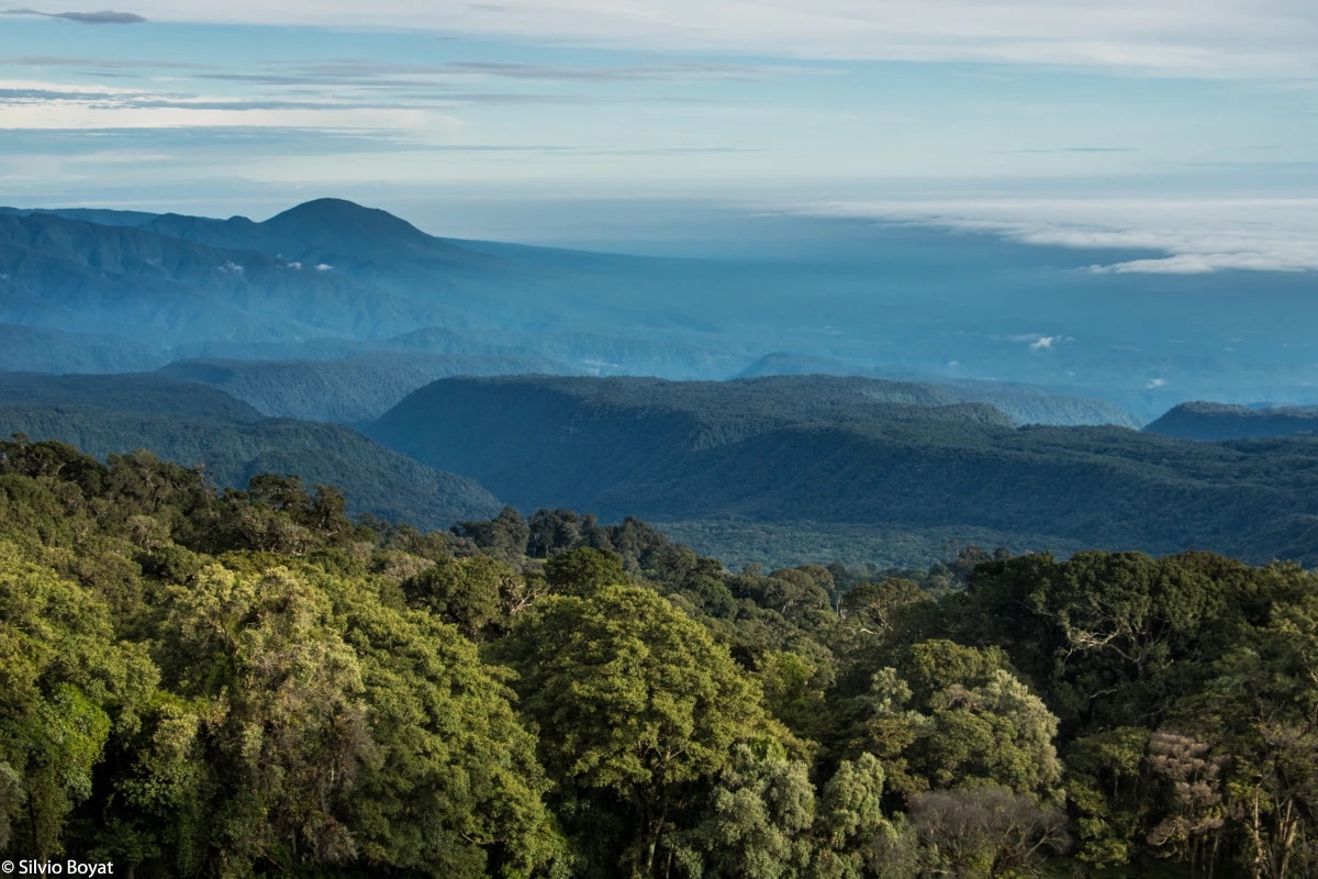 Vue panoramique du Parc National Braulio Carrillo