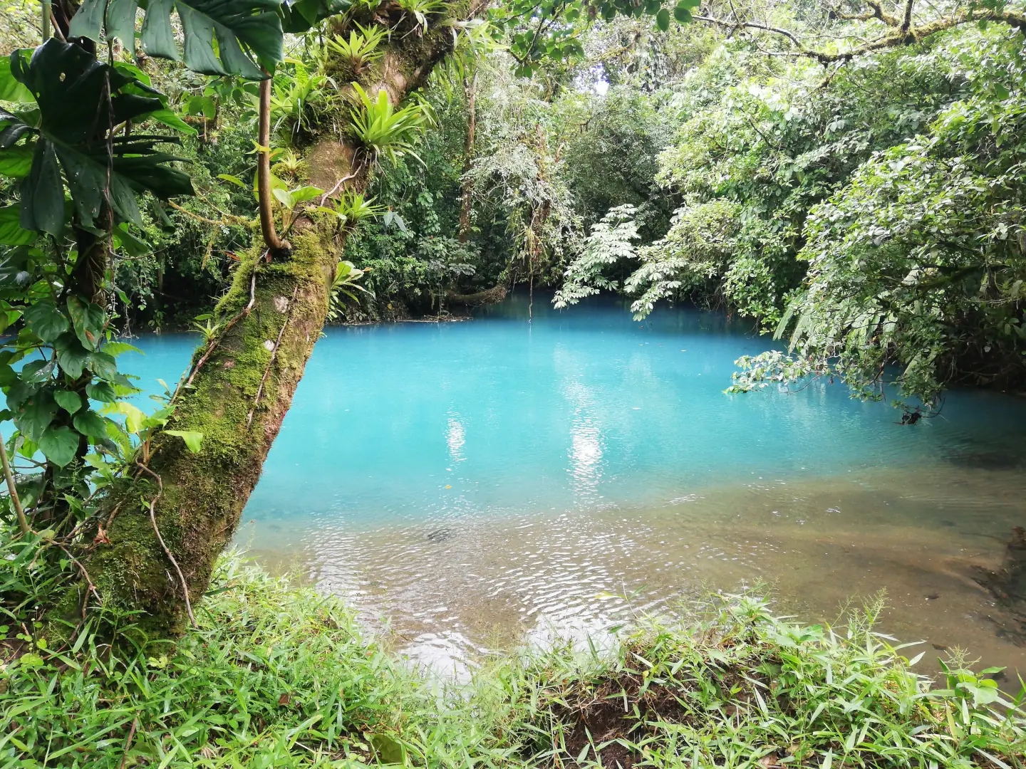 Le Rio Celeste dans parc national Tenorio