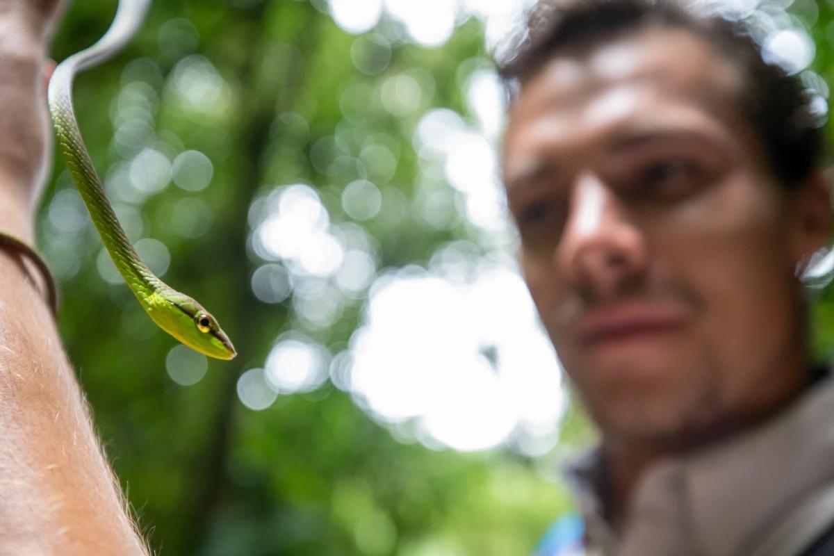 Lucas Boyat avec une couleuvre verte